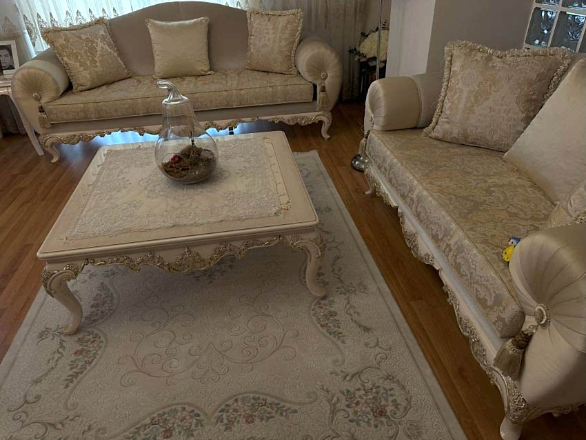 Kedi Ev Temizligi Kedili Ev Temizliği